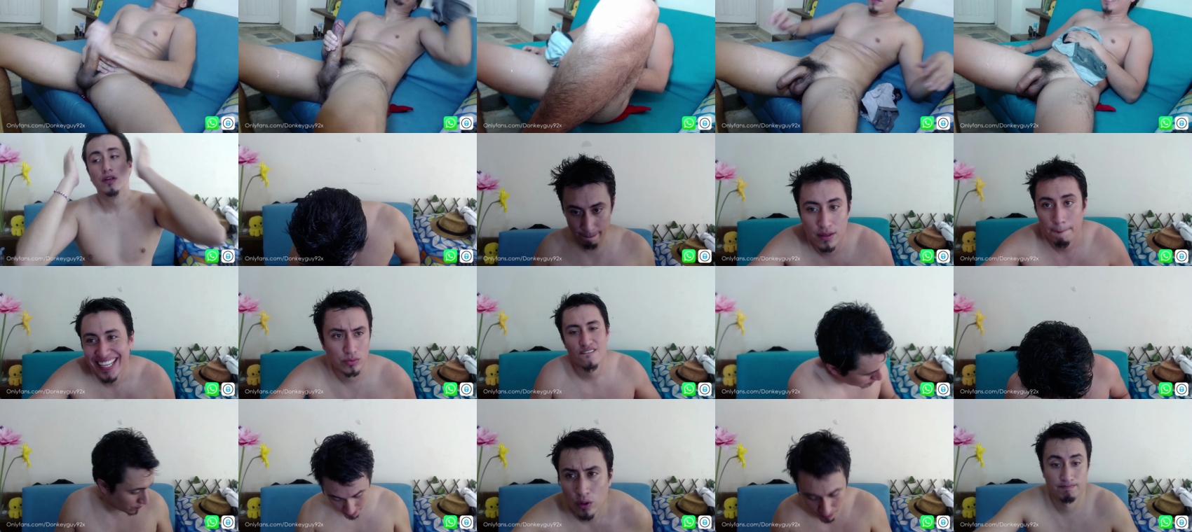 donkeyguy92  27-12-2021